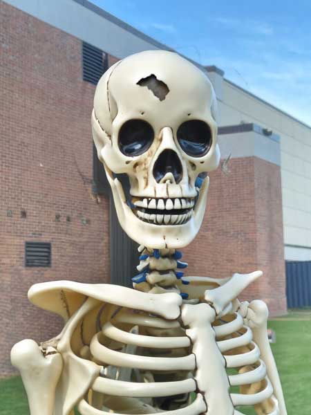 David Hall as a skeleton